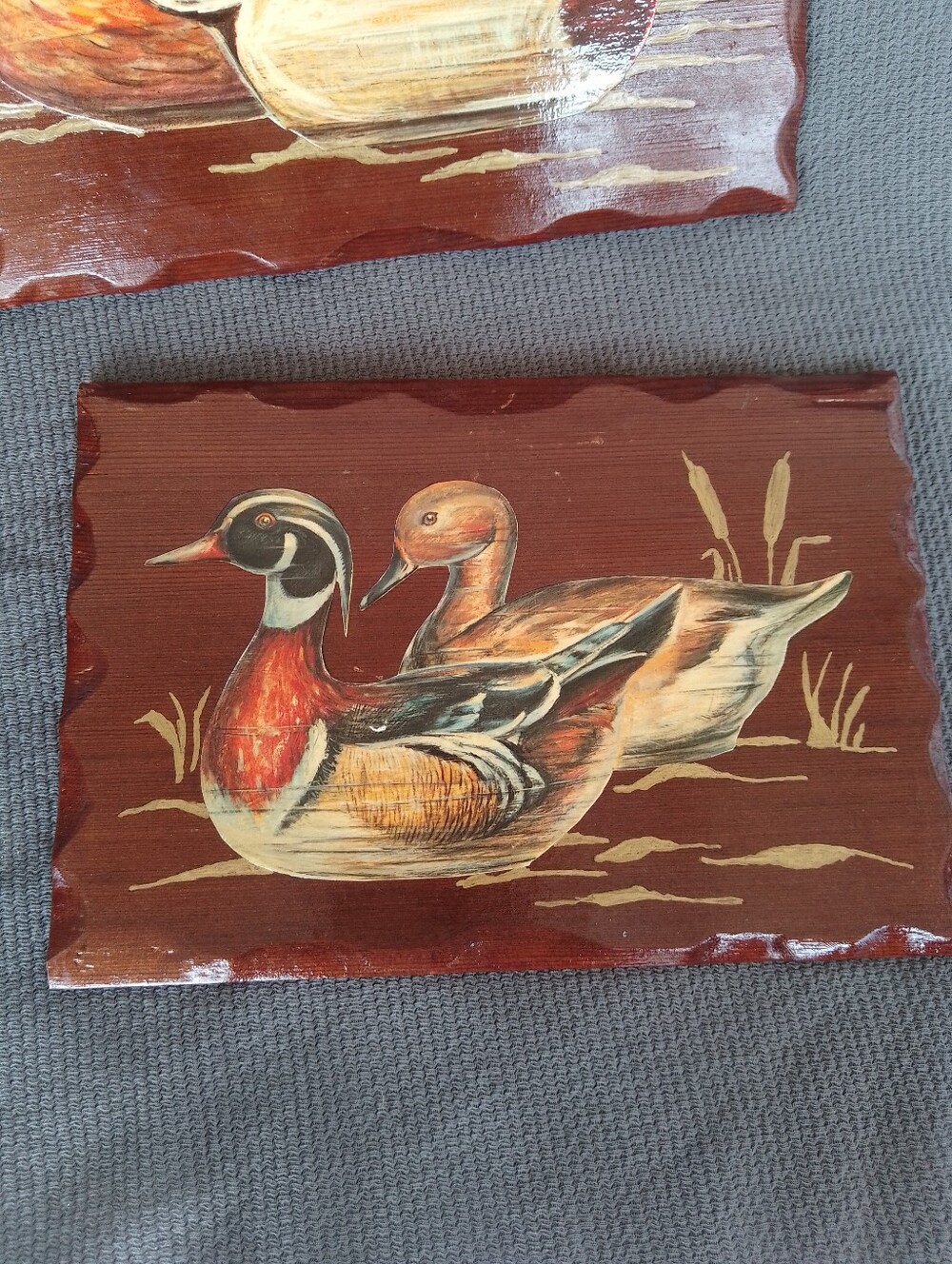 Duck Pictures - Picture 4 of 7